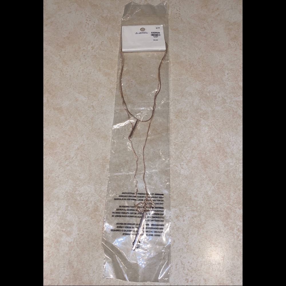 Express New Gold Necklace with Tags & in Plastic